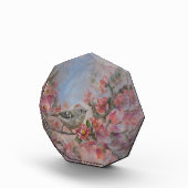 Ruby-Crowned Kinglet Bird Fotoblock (Rechts)