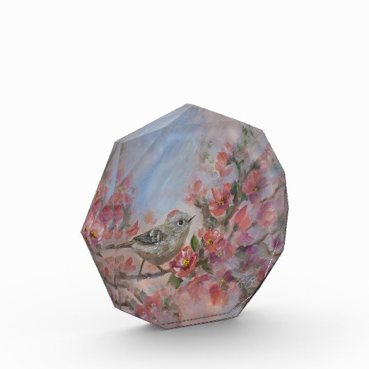 Ruby-Crowned Kinglet Bird Fotoblock (Links)