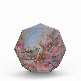 Ruby-Crowned Kinglet Bird Fotoblock