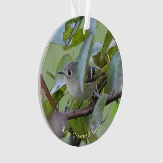 Ruby-crowned Kinglet Bird Ornament with Place Year (Vorderseite)