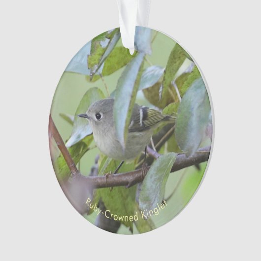 Ruby-crowned Kinglet Bird Ornament with Place Year (Vorderseite)