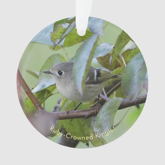 Ruby-crowned Kinglet Bird Ornament with Place Year (Vorderseite)