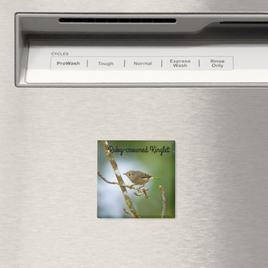 Ruby Crowned Kinglet Magnet (In Situ (Geschirrspüler))