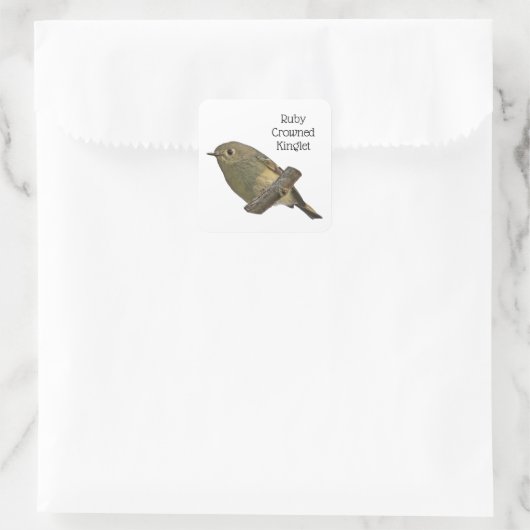 Ruby-Crowned Kinglet Quadratischer Aufkleber (Tasche)