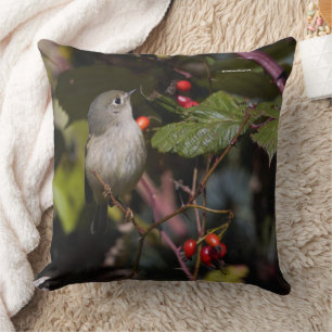 Ruby-Crowned Kinglet Songbird auf Hawthorn Bush Kissen