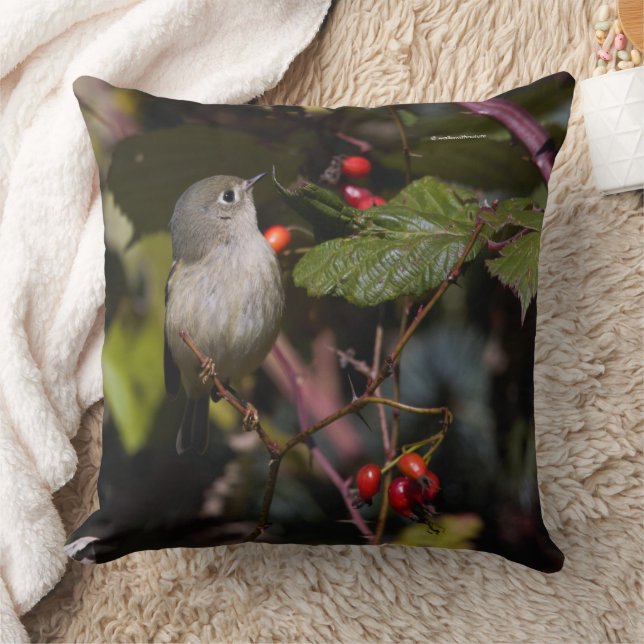Ruby-Crowned Kinglet Songbird auf Hawthorn Bush Kissen (Decke)