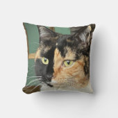 Ruby, die Sechsjährige Tortie und White Kissen (Vorderseite)