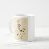 Ruby gekrönt Wren (Kinglet) Audubon Birds Amerika Kaffeetasse (Vorderseite Links)