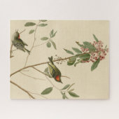 Ruby gekrönt Wren (Kinglet) Audubon Birds Amerika Puzzle (Horizontal)