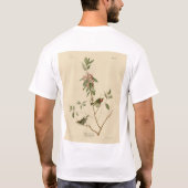 Ruby gekrönt Wren (Kinglet) Audubon Birds Amerika T-Shirt (Rückseite)