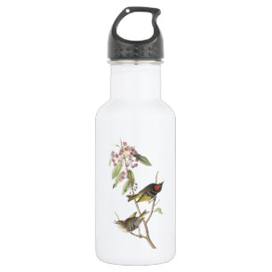 Ruby-gekröntes Kinglet von Audubon Trinkflasche