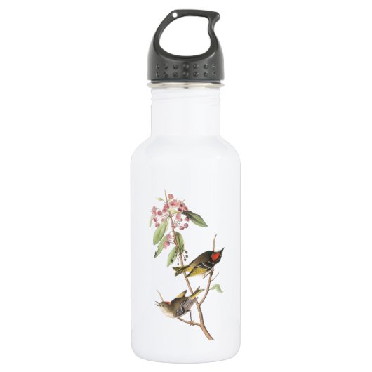 Ruby-gekröntes Kinglet von Audubon Trinkflasche (Vorderseite)