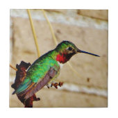 Ruby Green Komingbird Fliese (Vorderseite)