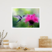 "Ruby" Hummingbird Fotografie drucken Poster (Küche)