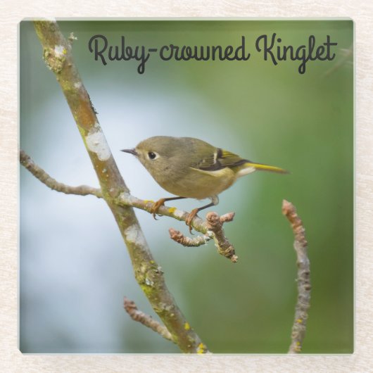 Ruby-Kinglet Glasuntersetzer (Vorderseite)