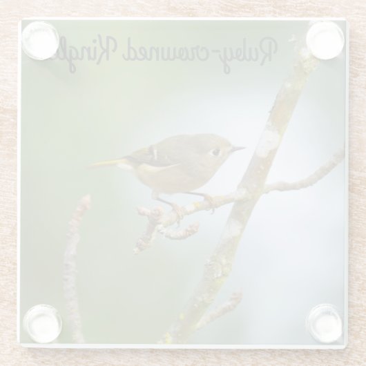 Ruby-Kinglet Glasuntersetzer (Rückseite)