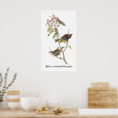 Ruby-Krone Kinglet, John Audubon Poster (Küche)