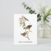 Ruby-Krone Kinglet, John Audubon Postkarte (Stehend Vorderseite)