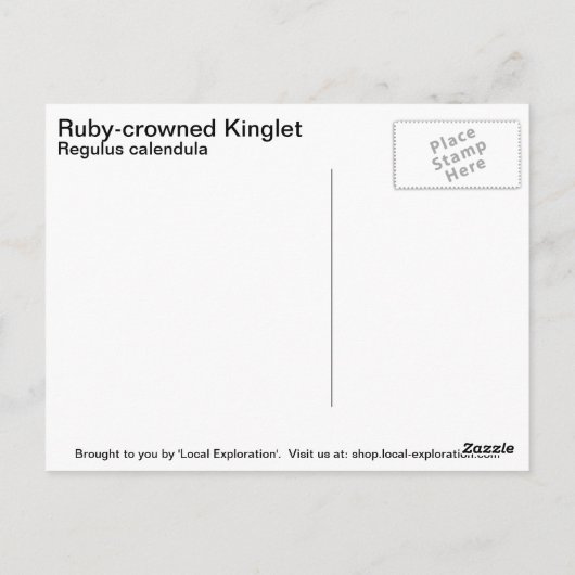 Ruby-Krone-Kinglet Postkarte (Rückseite)