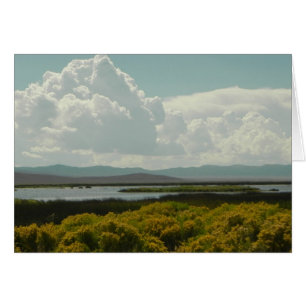 Ruby Marshes, Rabbit Brush