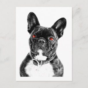 Ruby Mit Augen French Bulldog Portrait Postkarte