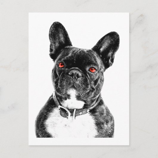 Ruby Mit Augen French Bulldog Portrait Postkarte (Vorderseite)