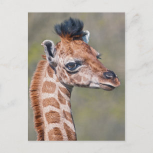 Ruby Postcard Postkarte