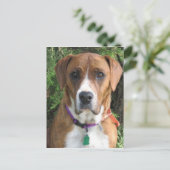 Ruby Postkarte (Stehend Vorderseite)