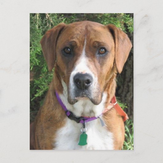 Ruby Postkarte (Vorderseite)