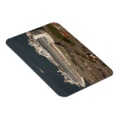 Ruby Princess Cruise, SF Magnet (Rechte Seite)