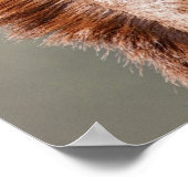 Ruby Print Poster (Ecke)