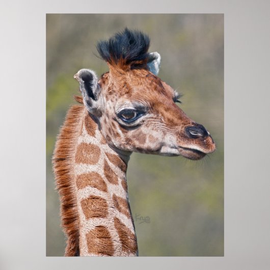 Ruby Print Poster (Vorne)