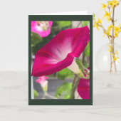 Ruby Red Morning Glory Blank Karte (Gelbe Blume)