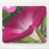 Ruby Red Morning Glory Close-up Mousepad (Vorne)