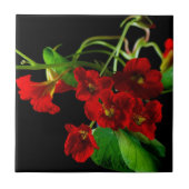 Ruby Red Nasturtium Fliese (Vorderseite)
