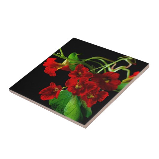 Ruby Red Nasturtium Fliese (Seite)