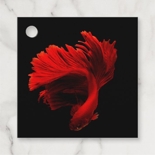 Ruby Red Siamese Fighting Fish Geschenkanhänger (Vorderseite)