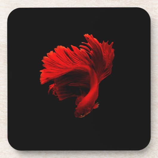 Ruby Red Siamese Fighting Fish Getränkeuntersetzer (Vorderseite)