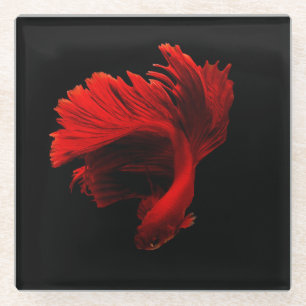 Ruby Red Siamese Fighting Fish Glasuntersetzer