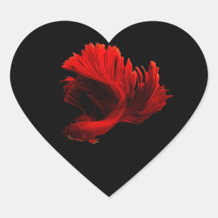 Ruby Red Siamese Fighting Fish Herz-Aufkleber