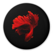 Ruby Red Siamese Fighting Fish Keramikknauf (Vorderseite)