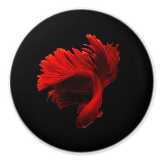 Ruby Red Siamese Fighting Fish Keramikknauf (Vorderseite)
