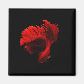 Ruby Red Siamese Fighting Fish Magnet (Vorne)