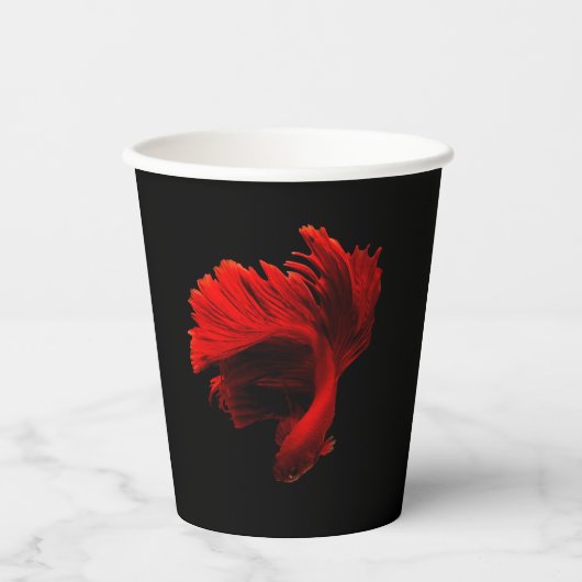 Ruby Red Siamese Fighting Fish Pappbecher (Vorderseite)
