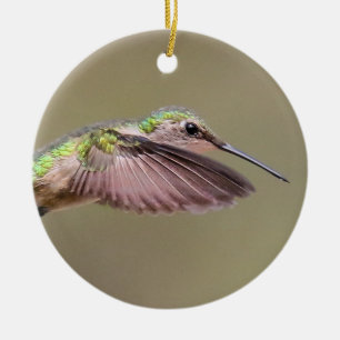 Ruby Red Throat Hummingbird Ornament
