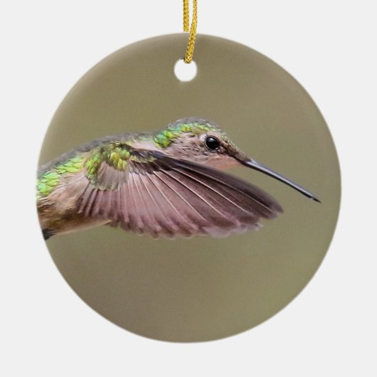 Ruby Red Throat Hummingbird Ornament (Vorne)