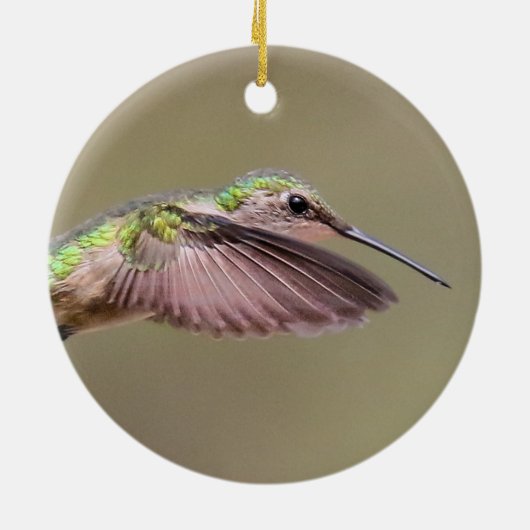 Ruby Red Throat Hummingbird Ornament (Hinten)