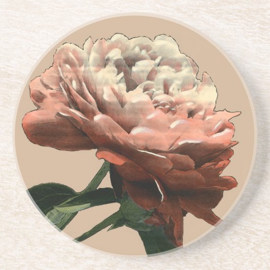 Ruby-Rote Rose mit weißen Akzenten Getränkeuntersetzer (Vorne)