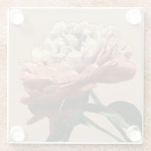 Ruby-Rote Rose mit weißen Akzenten Glasuntersetzer (Rückseite)