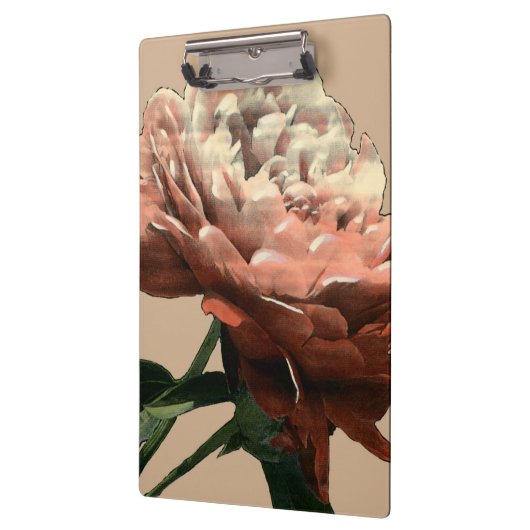Ruby-Rote Rose mit weißen Akzenten Klemmbrett (Links)